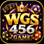 WGS456 Game