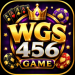 WGS456 Game