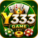 Y333 Game