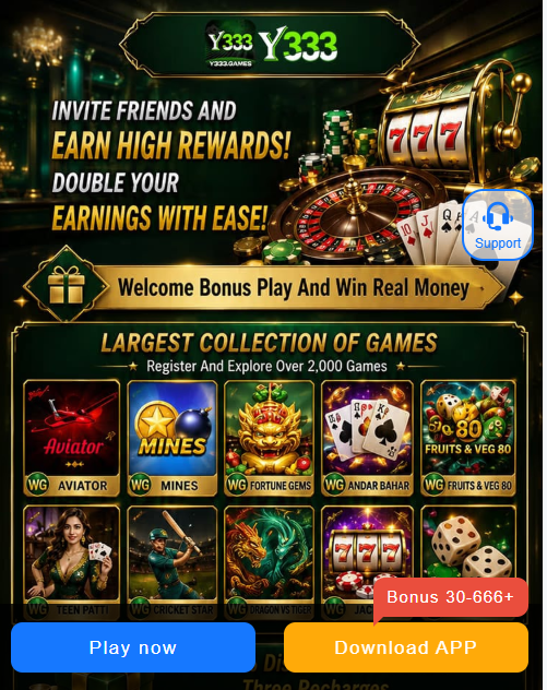 Y333 Game