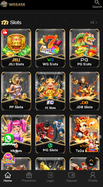 WGS456 Game